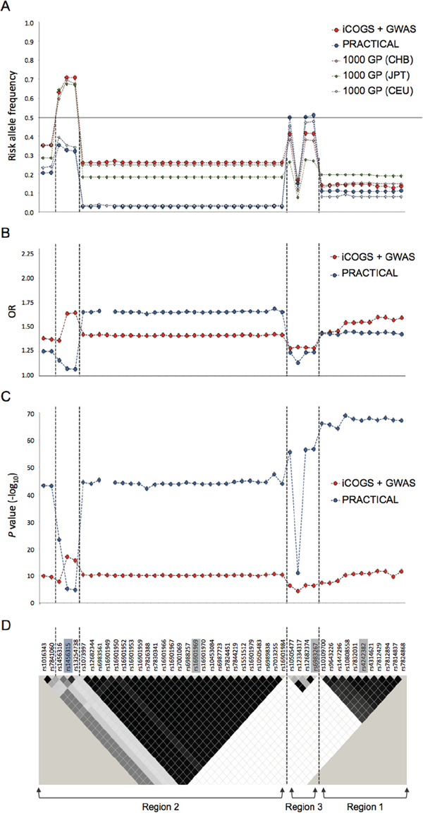 The risk allele frequency, OR and P value plots at the four 8q24 prostate cancer-associated loci in Chinese, Japanese and European descendants.