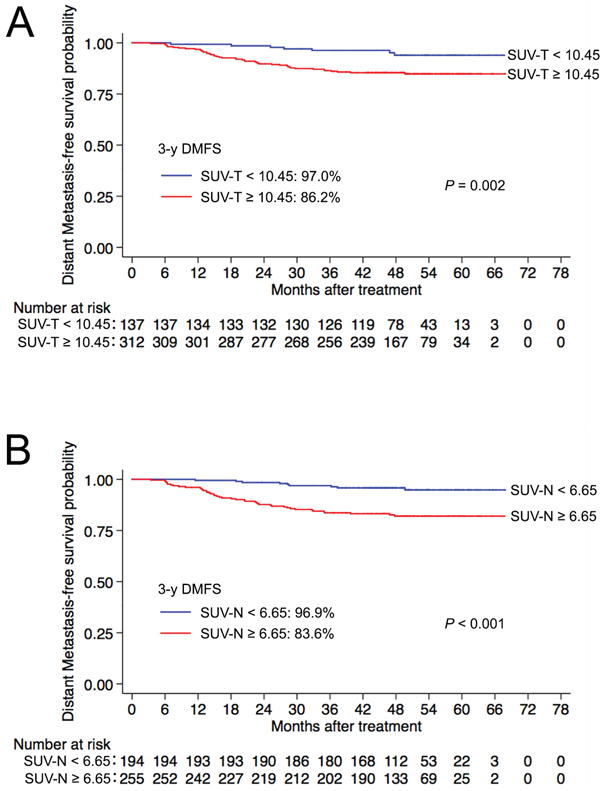 Kaplan-Meier curves of DMFS for nasopharyngeal carcinoma groups