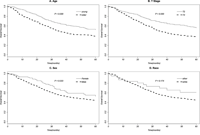 Survival curves of age A. T stage B. sex C. race D. to patients of T2-3N0M0 stage EAC