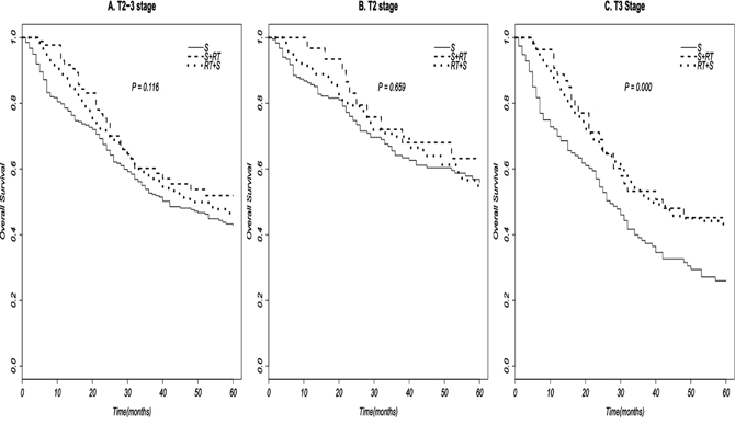 Survival curves of (neo-)adjuvant radiotherapy to EAC patient based on different T stages