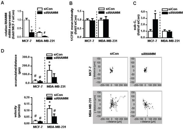 RHAMM has apoptotic and motility characteristics in different cancer cell lines in vitro.