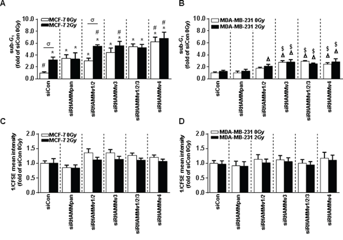 RHAMMpan and RHAMM variant knock-down in MCF-7 and MDA-MB-231 cells leads to increased radiosensitivity after irradiation with 2Gy.