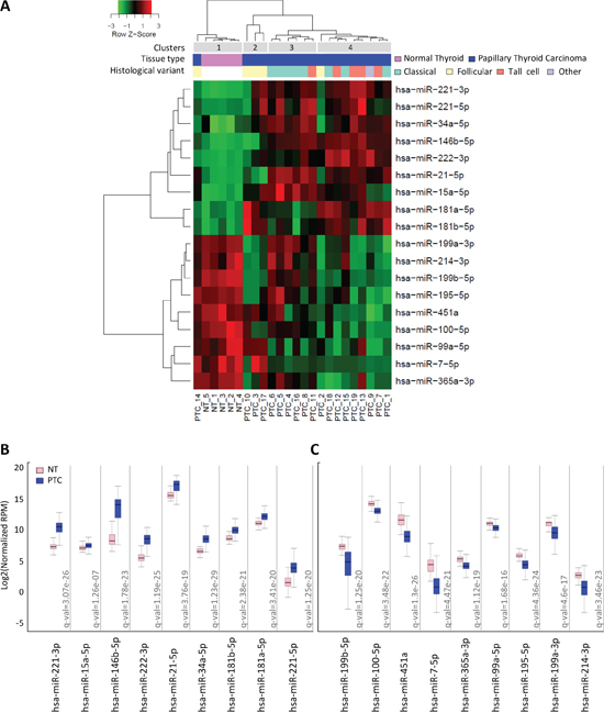 miRNA expression profiles in PTC clinical samples