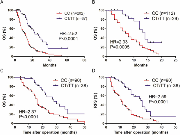 The association between SNP of HIF1A and survival rate in patients with PDAC.
