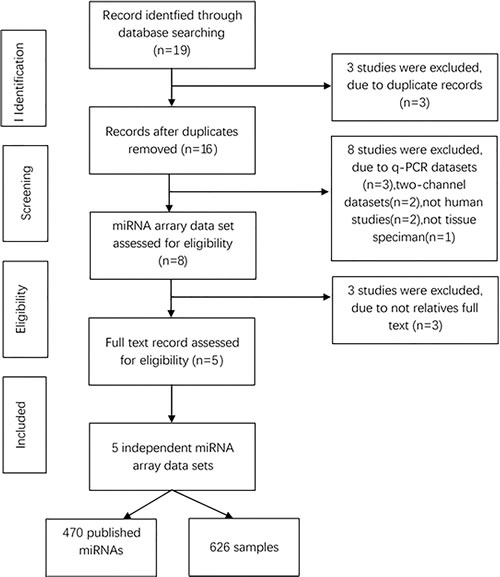 Flowchart of miRNAs studies in this meta-analysis.