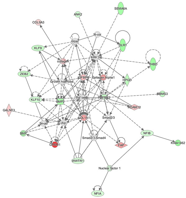 Gene network using target genes from 14 promising miRNAs.