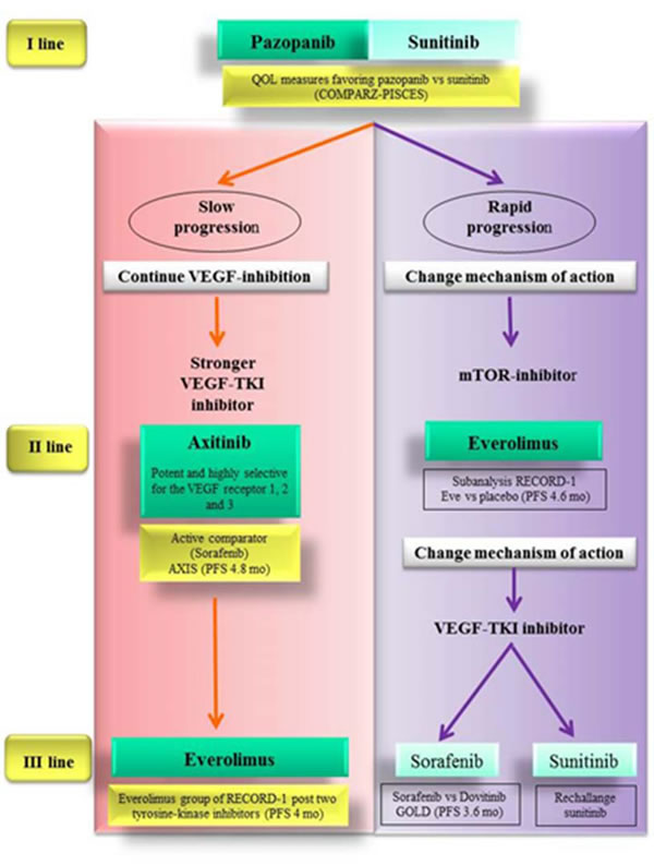 Evidence-based therapeutic algorithm driven also by scientific rationale and tumor behavior.