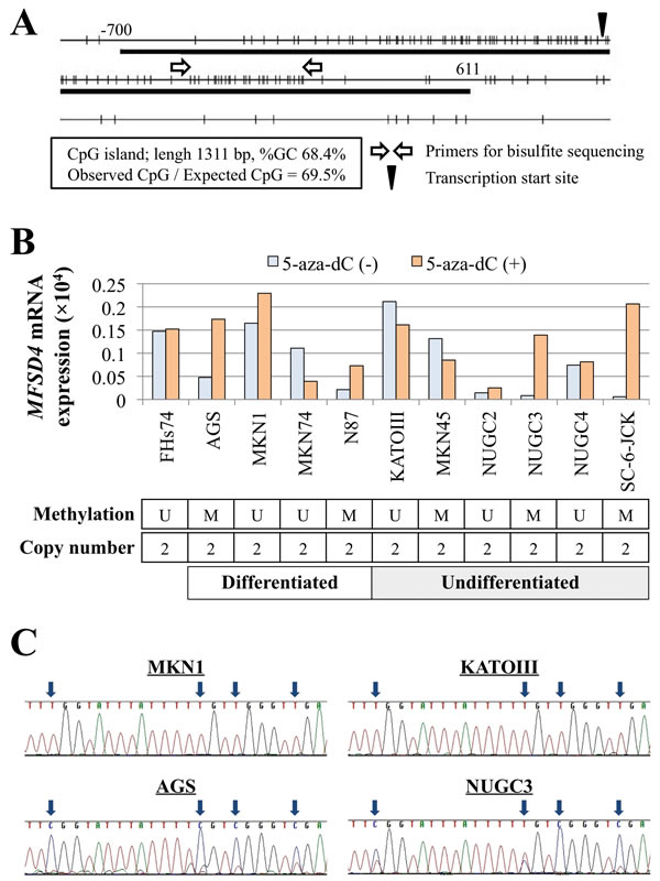 Expression, methylation and gene copy-number analysis.