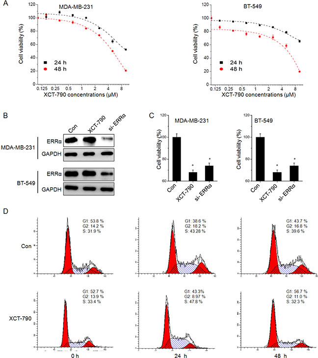 XCT-790 inhibits the proliferation and induces cell cycle arrest of TNBC cells.