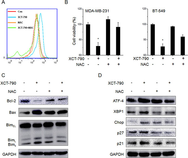 ROS mediates XCT-790 induced ER stress and growth arrest.