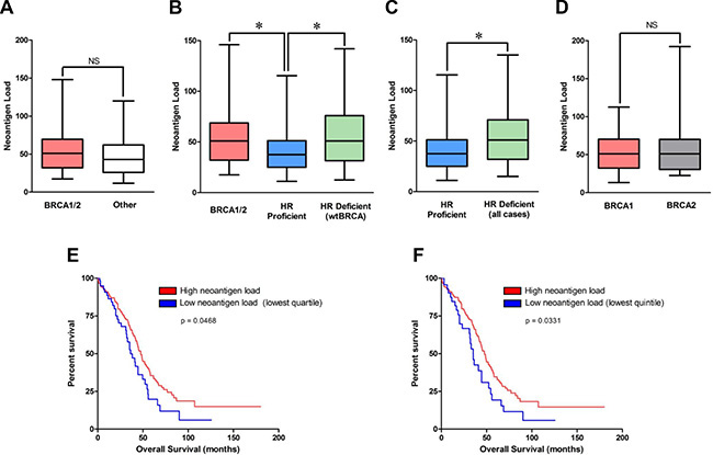 Neoantigen load in BRCA1/2-mutated, non-BRCA1/2-mutated/HR-deficient and HR proficient cohorts, and association with outcome in the TCGA dataset.