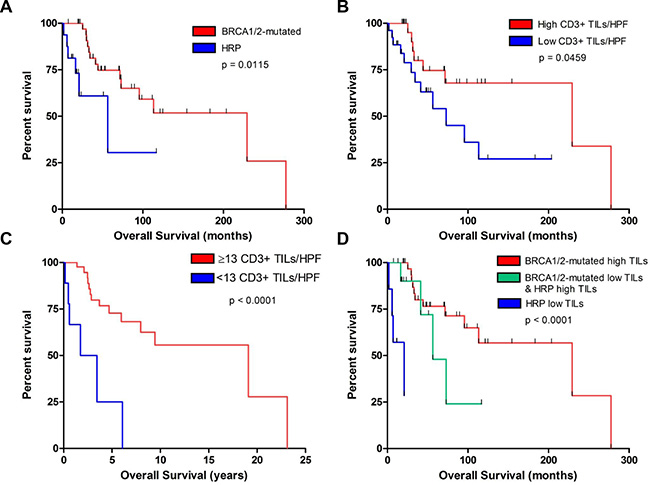 Association of CD3+ TILs and BRCA1/2-mutation status with survival in our institutional cohort.