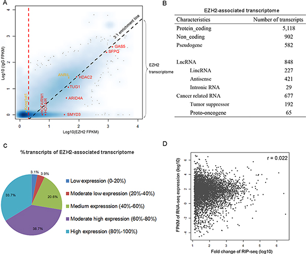 Characterization of EZH2-associated transcriptome in gastric cancer cells.