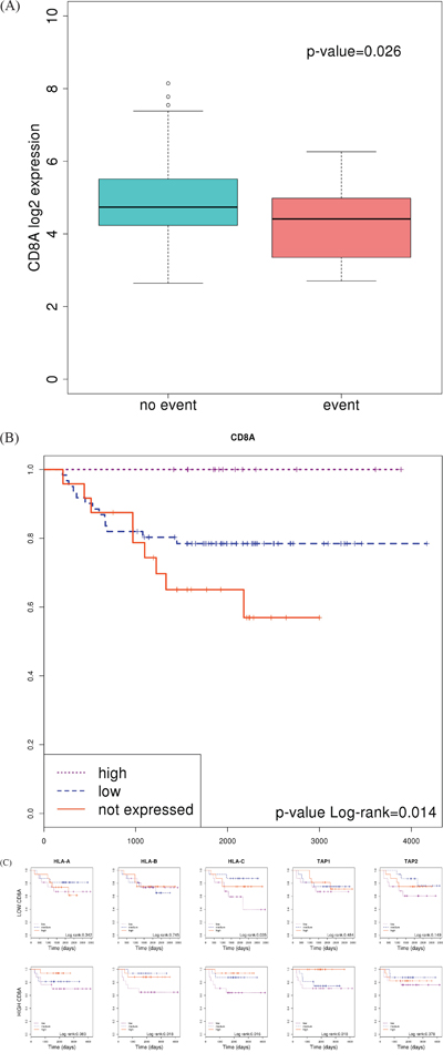 Association of CD8A expression with prognosis.