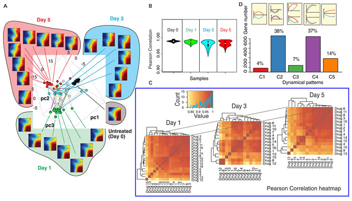 The transcriptomes of 16 effective drugs diverge and converge.