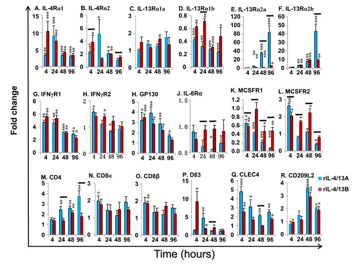 Modulation of the expression of the cytokine receptors for IL-4/13 (IL-4&#x3b1;1 and &#x3b1;2, IL-13R&#x3b1;1a and &#x3b1;1b, and IL-13R&#x3b1;2a and &#x3b1;2b), IFN&#x3b3; (IFN&#x3b3;R1 and 2), IL-6 (IL-6R&#x3b1; and GP130) and MCSF (MCSFR1 and 2), and cellular markers for T cells (CD4-1, CD8&#x3b1; and CD8&#x3b2;) and dendritic cells (CD83, CLEC4, and CD209L2) by rIL-4/13 isoforms.