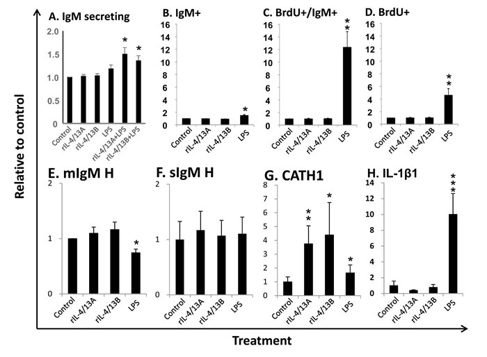 Effects of rIL-4/13 isoforms on IgM+ B cells.