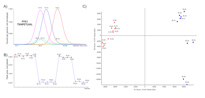 Label-free shotgun proteome profiles of yeast expressing Pyk1p at high and low level.