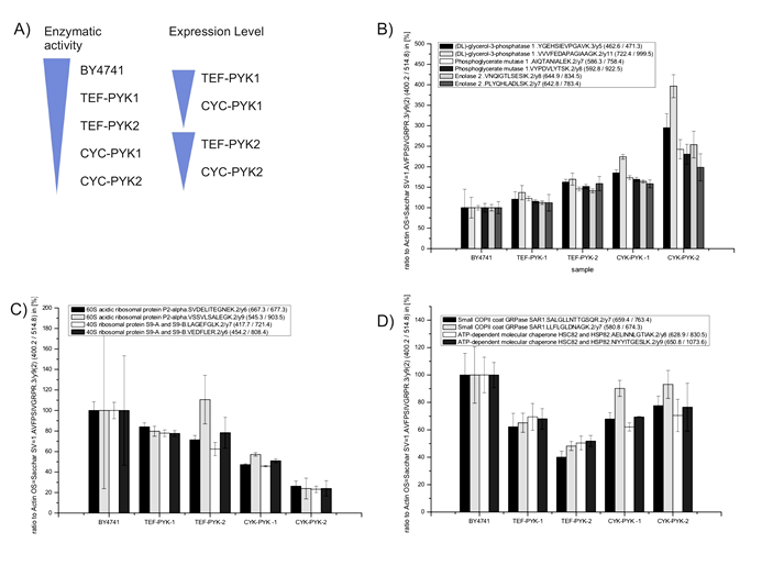 Targeted quantification of PK regulated genes by selected reaction monitoring.