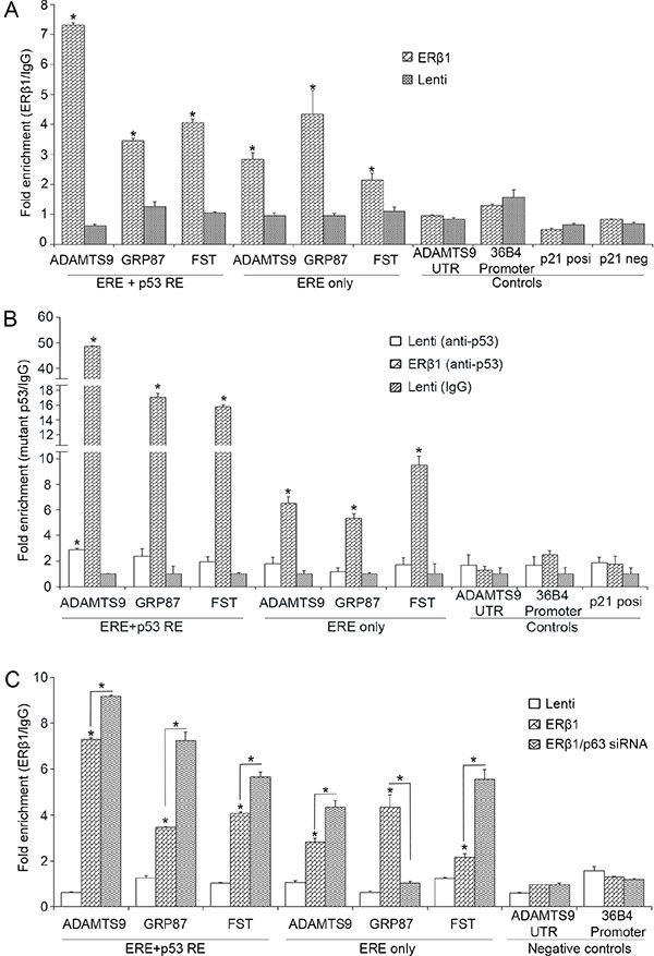 ER&#x03B2;1 binds to promoters of mutant p53 target genes.