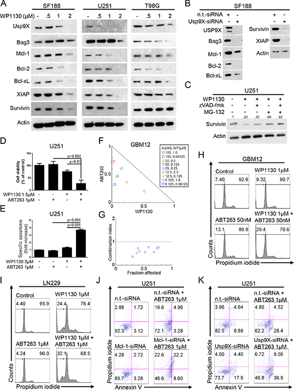 Inhibition of deubiquitinases yields down-regulation of the Mcl-1/Bag3/Usp9X-axis and sensitizes for the BH3-mimetic ABT263.