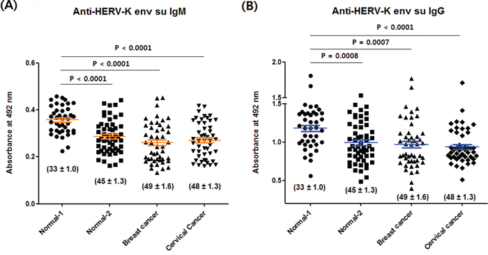 Anti-HERV-K env su IgM and IgG levels of the normal-1, normal-2, breast cancer and cervical cancer group.