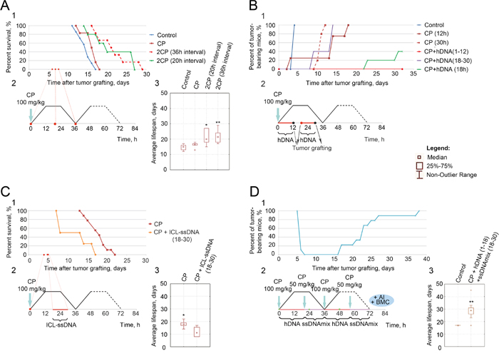 Analysis of therapeutic activity of different injection regimens of CP with or without dsDNA (hDNA, ICL-hDNA, ssDNA, ICL-ssDNA):