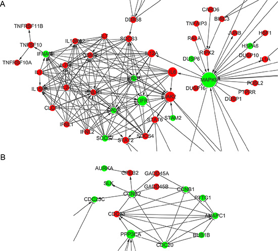 Gene interaction network analysis of differentially expressed genes between scramble and ShGPR160-D treated PC-3 cells.