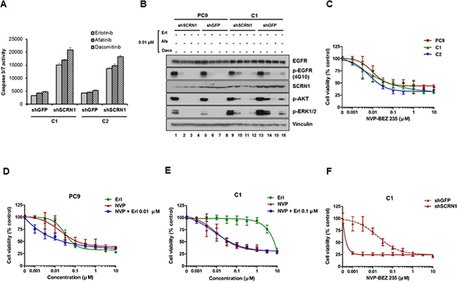 Activation of PI3K/AKT signaling pathways is essential for growth of erlotinib resistant cells.