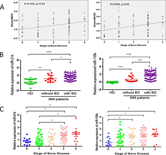 miR-214 and miR-135b levels were highly correlated with bone disease of MM patients.
