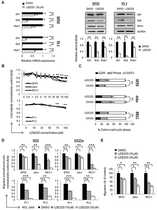 Hedgehog inhibitor LDE225 inhibits cell adhesion and migration without affecting cell viability in MCL cells.
