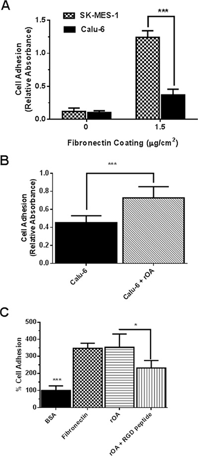 GPNMB/OA ECD protein promoted cell adhesion to fibronectin-coated or rOA-coated plates.