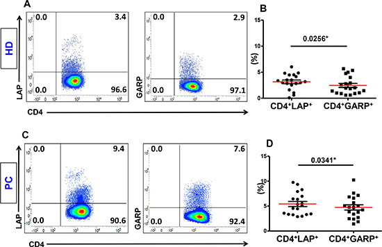 Expression of LAP or GARP on activated CD4+ T cells.