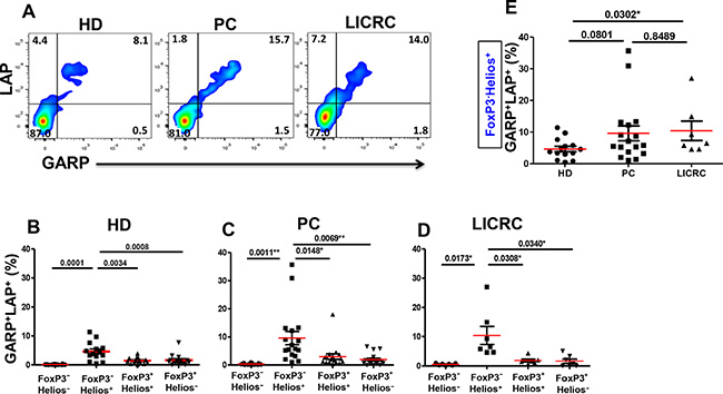 Expression of GARP and LAP on non-activated FoxP3+/&#x2013;Helios+/&#x2013; T-cell subsets.