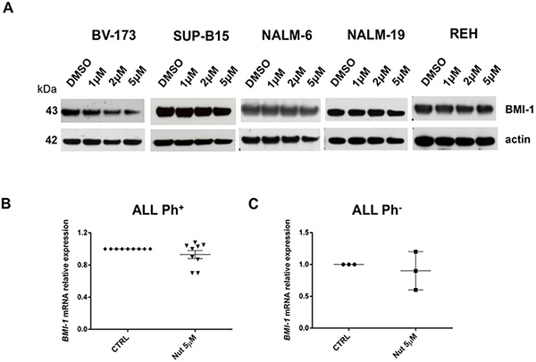 Gene expression signature associated with Nutlin-3a treatment.