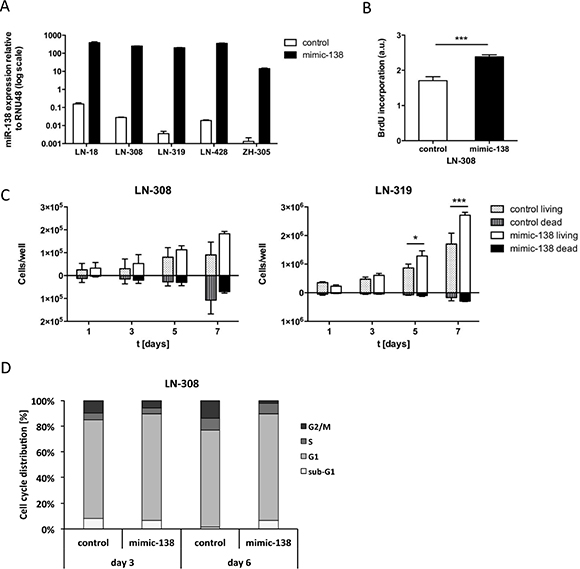 miR-138 induces proliferation of glioma cells in vitro.