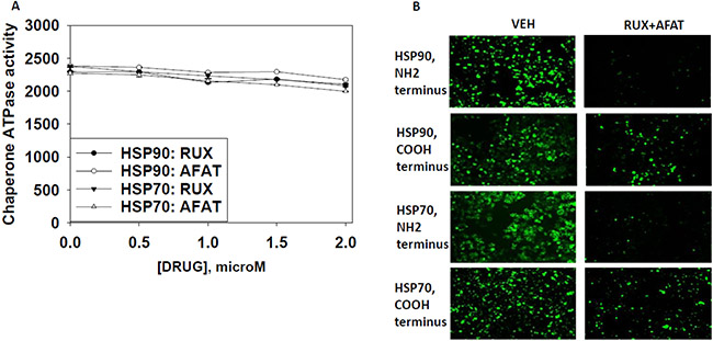 Afatinib nor ruxolitinib have ATPase inhibitory effects against HSP90 or HSP70.