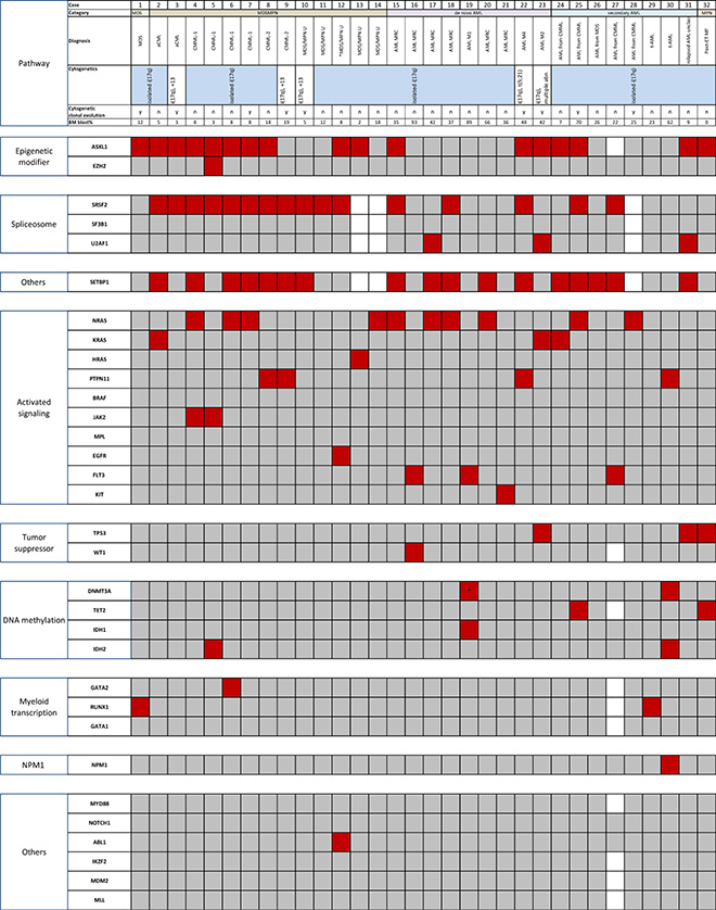 Mutational analysis of 32 cases of myeloid neoplasm with isolated i(17q) (red, mutation; gray, wild-type; white, not tested).
