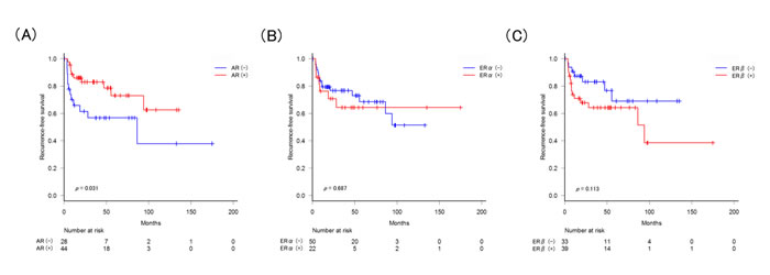 Recurrence-free survival according to the expression of AR/ER&#x3b1;/ER&#x3b2; in tumors.