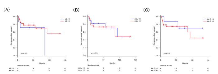 Recurrence-free survival according to the expression of AR/ER&#x3b1;/ER&#x3b2; in normal tissues.
