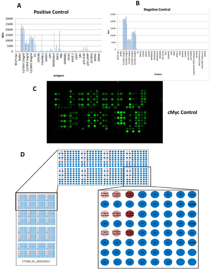 CT100+ cancer antigen microarray layout and quality control in experiment.