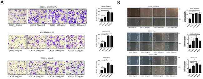 CXCL9 promote the migration and invasion ability of CD133+ PLC/PRF/5, Hep-3B and Huh7 cells.