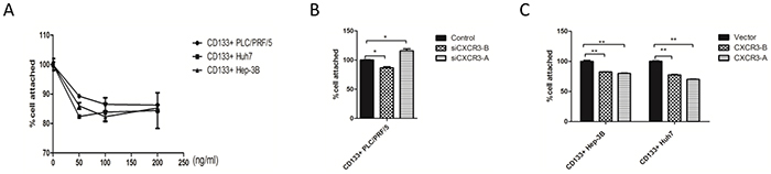 CXCR3-A suppresses cell adhesion in response to CXCL9.