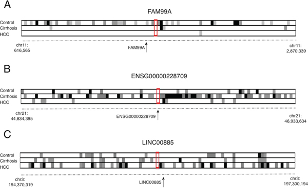 Co-expression analysis of 3 different enhancer-associated lncRNA (eRNAs), representing the 3 main trends observed in the co-expression patterns of differentially expressed eRNAs.