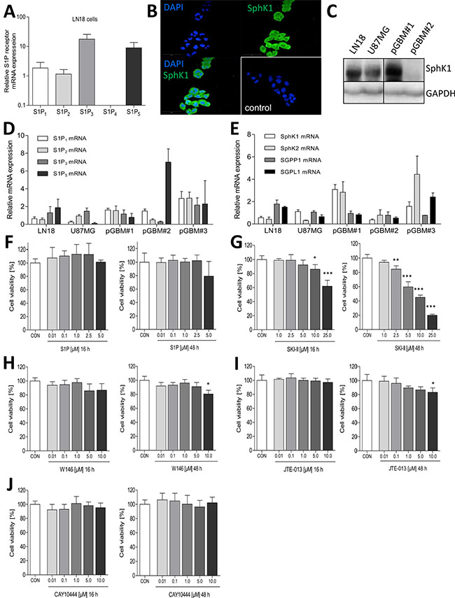 Analysis of the expression of S1P receptors as well as of S1P metabolizing enzymes and influence of its pharmacological blocking on cell viability of LN18 GBM cells.