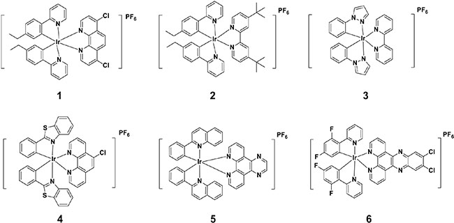 Chemical structures of kinetically-inert organometallic iridium(III) compounds 1&#x2013;6.
