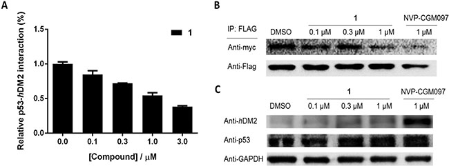 1 inhibits the interaction of p53/hDM2 in A375 cells without affecting protein expression levels.