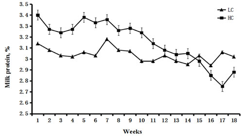 Percentage of milk protein in dairy cows fed low concentrate (LC) or high concentrate (HC) diets.