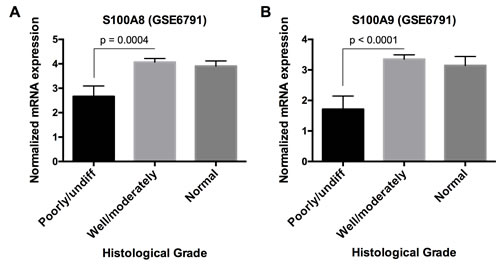 S100A8 and S100A9 mRNA expression in HNSCC with different histological grades.