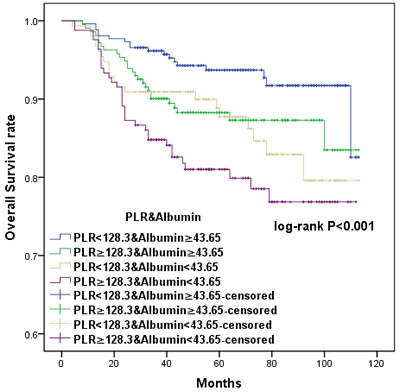 Kaplan-Meier survival curves showing the relationship between overall survival (OS) in cervical cancer patients and the combination of preoperative PLR and albumin.